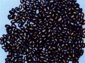 爆黑料和曝黑料的用法.网红热瓜,揭秘爆黑料与曝黑料的背后真相