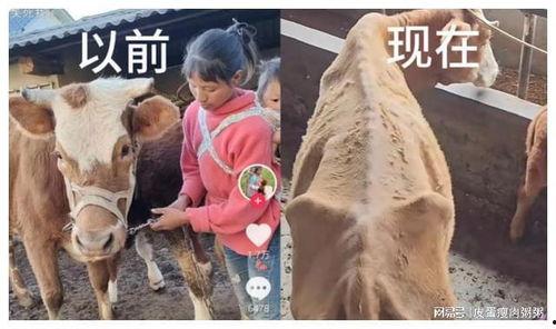 网红小英被曝大瓜