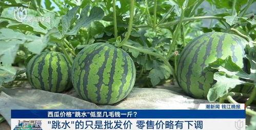 热门大瓜往期内容 56吃瓜网,揭秘娱乐圈最新大瓜，带你领略明星幕后故事