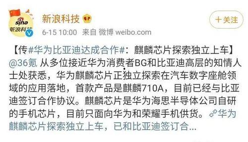 最新大瓜事件最新消息 2025社会热点话题,揭秘最新大瓜事件背后的风云变幻